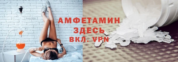 ГАЛЛЮЦИНОГЕННЫЕ ГРИБЫ Тайга