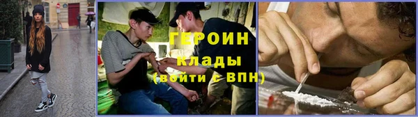 ГАЛЛЮЦИНОГЕННЫЕ ГРИБЫ Тайга