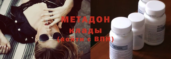 ГАЛЛЮЦИНОГЕННЫЕ ГРИБЫ Тайга