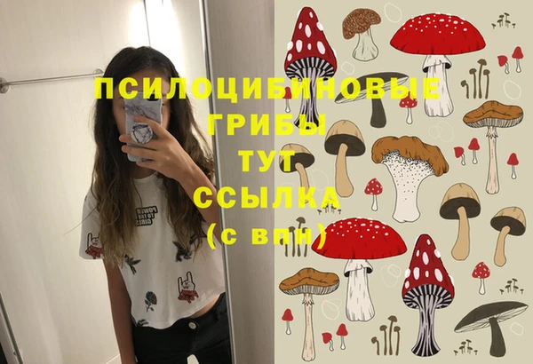 прущий лед Сясьстрой