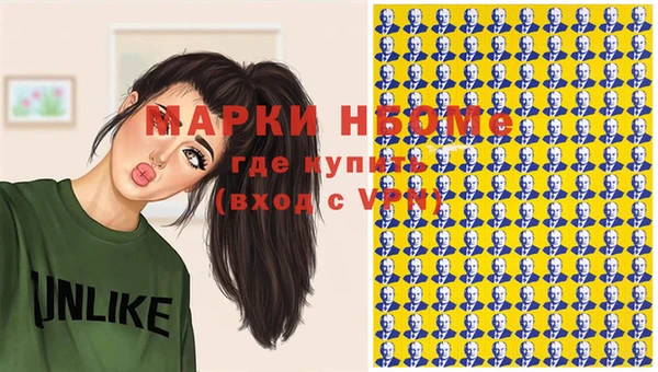 ГАЛЛЮЦИНОГЕННЫЕ ГРИБЫ Тайга