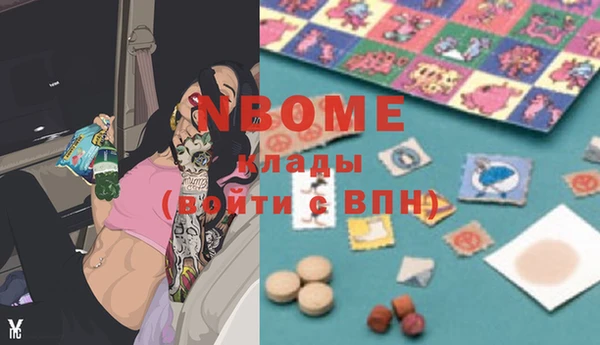 ГАЛЛЮЦИНОГЕННЫЕ ГРИБЫ Тайга