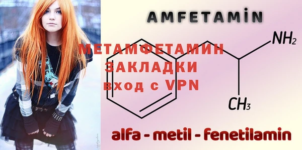 ГАЛЛЮЦИНОГЕННЫЕ ГРИБЫ Тайга